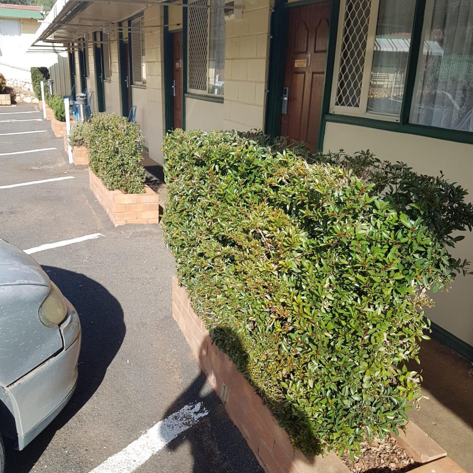 Golden Peak Motel Peakhill Peak Hill Esterno foto