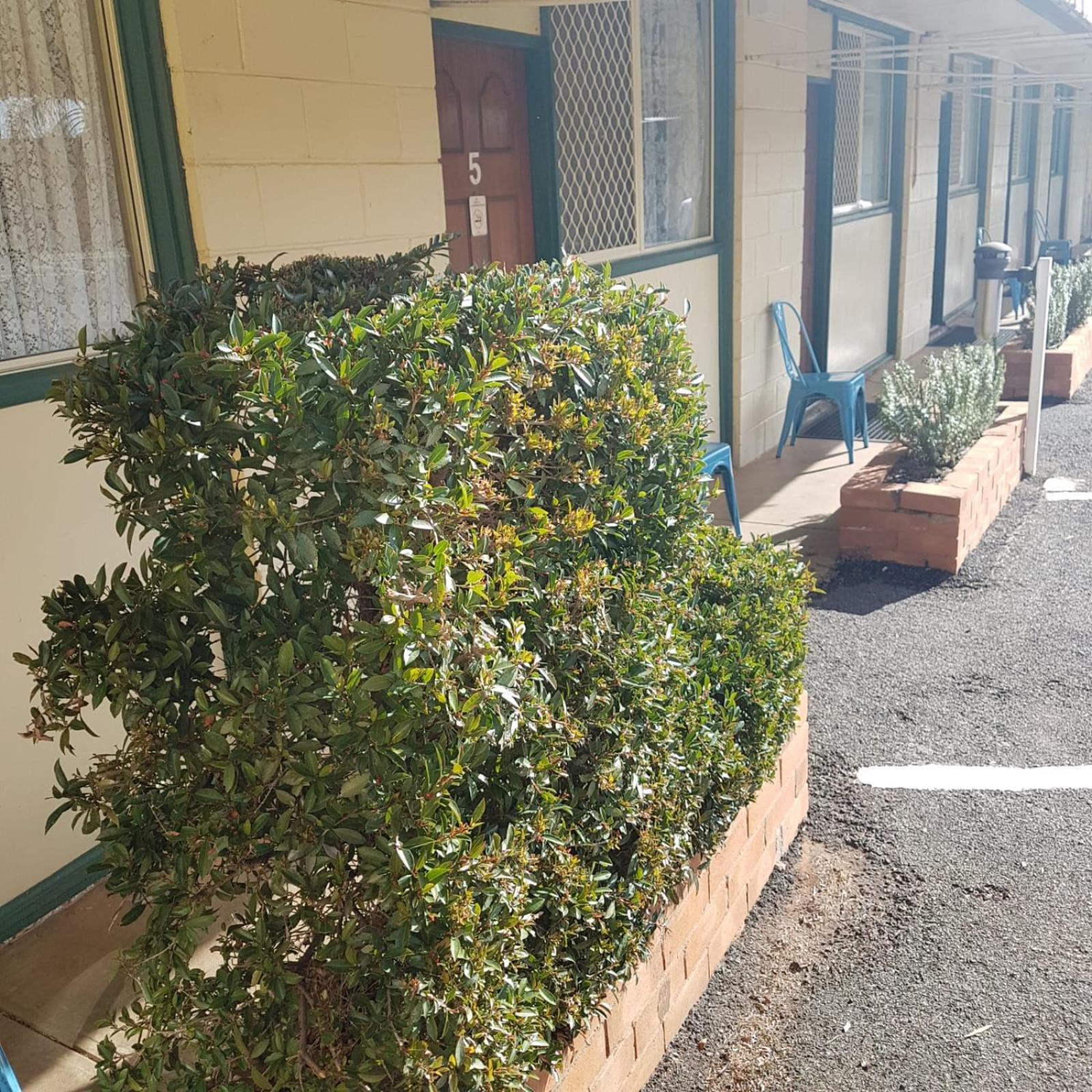 Golden Peak Motel Peakhill Peak Hill Esterno foto